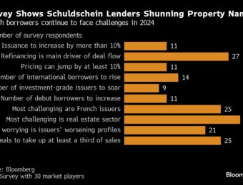 relates to Schuldschein Arrangers Predict Stronger Year as Maturing Debt Looms