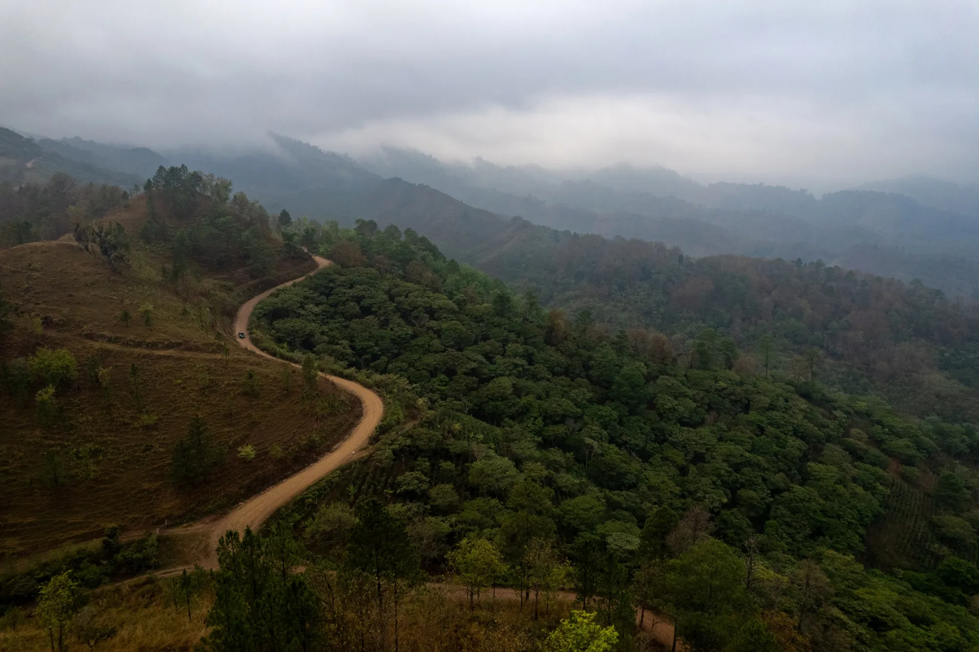 Mobilizing more funds to protect nature is proving to be “one of the most difficult issues,” said Susana Muhamad, Colombia’s environment minister and COP16 president.