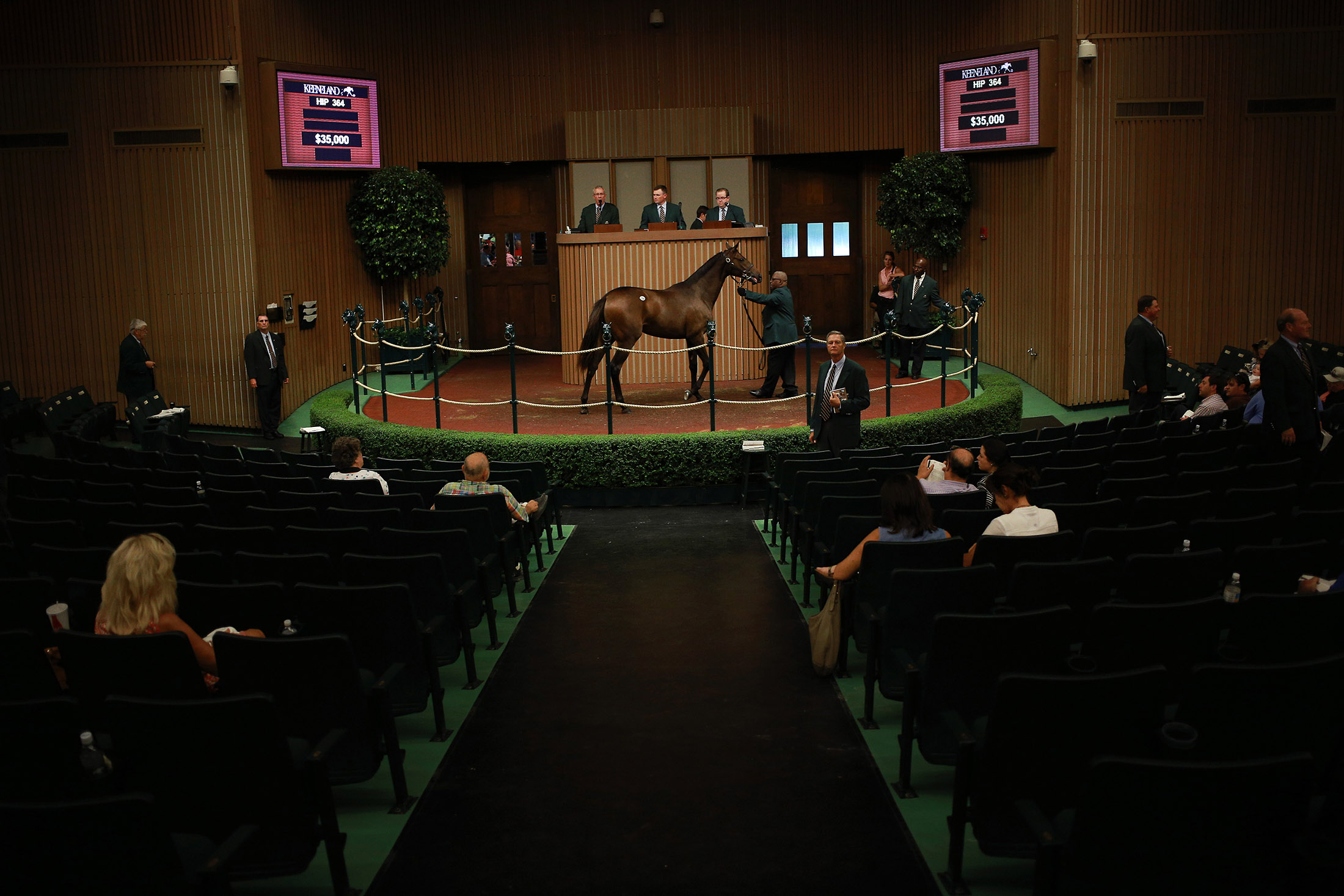 Horse Market Stays in the Race, Despite Decade Long Decline Bloomberg