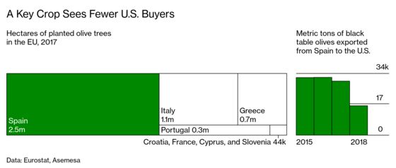 Trump’s Tariffs Send Shock Waves Through Spain’s Olive Groves