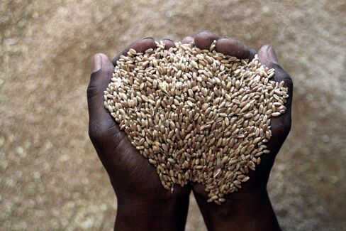 South African Grain Store Operated By Kaap Agri