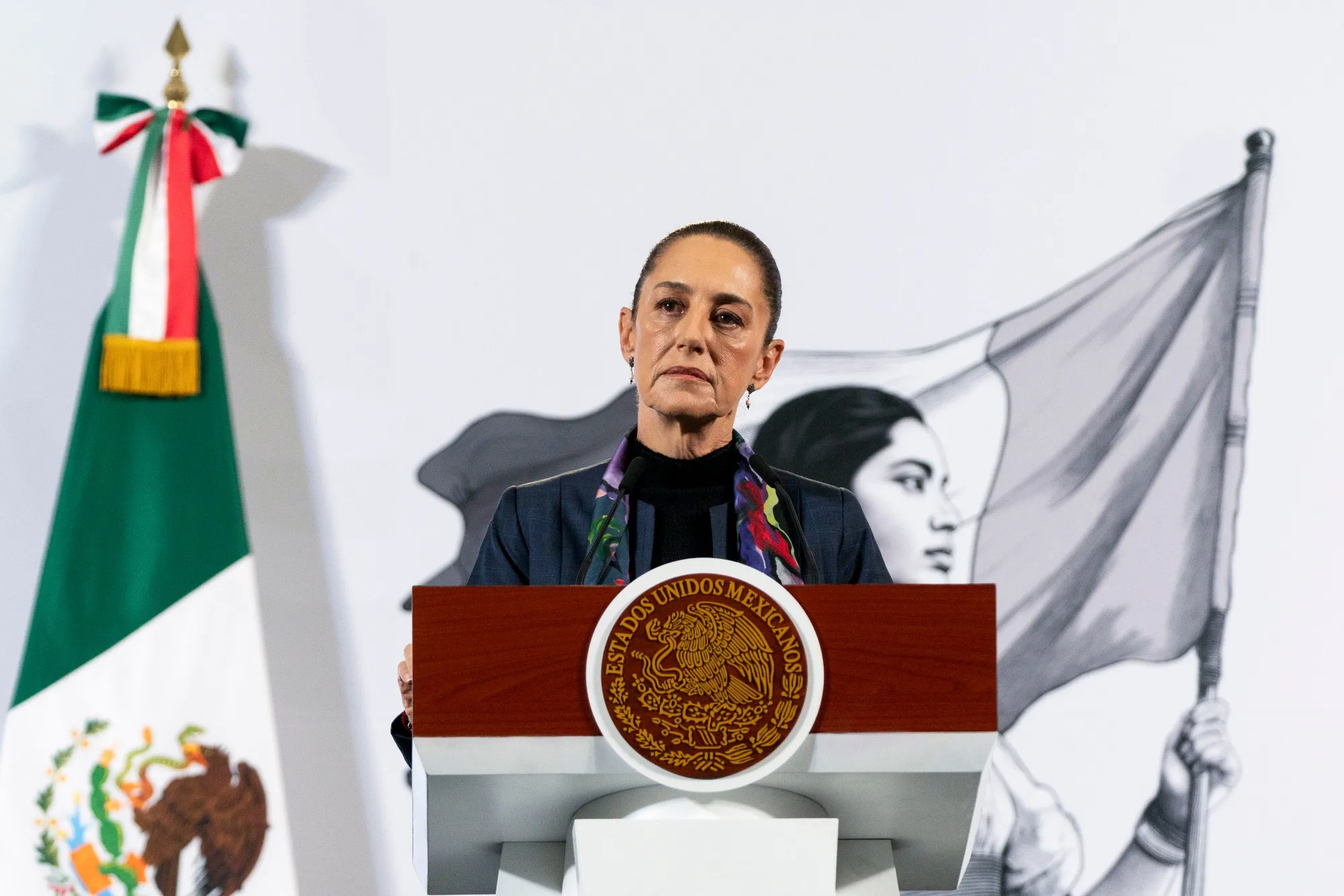 Mexican President Claudia Sheinbaum said that the tariffs ordered by US President Donald&nbsp;Trump will have serious effects on the economies of both countries.