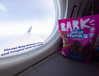 relates to BARK Air Bets Big on $6,000 Flights for Dogs