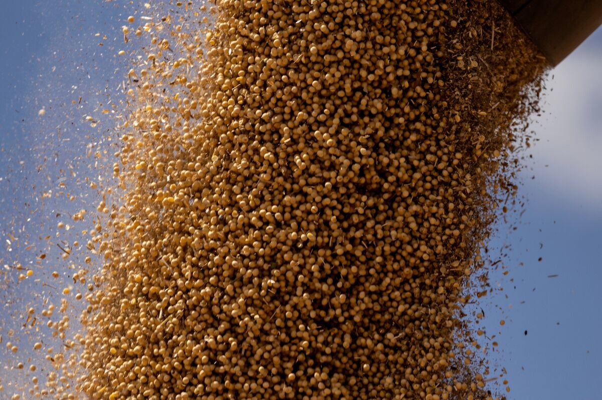 China Turns to Cheaper Brazil Soybeans After Meeting US Pledge