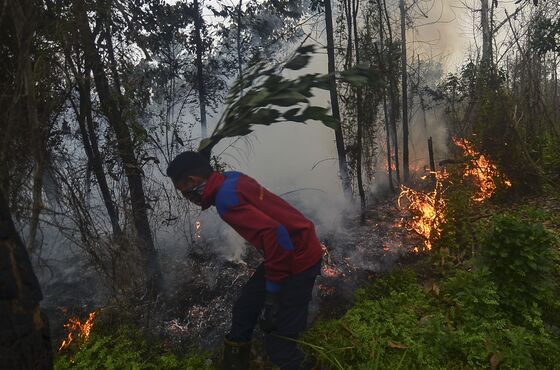 Indonesia’s Jokowi Warns of Economic Calamity From Forest Fires