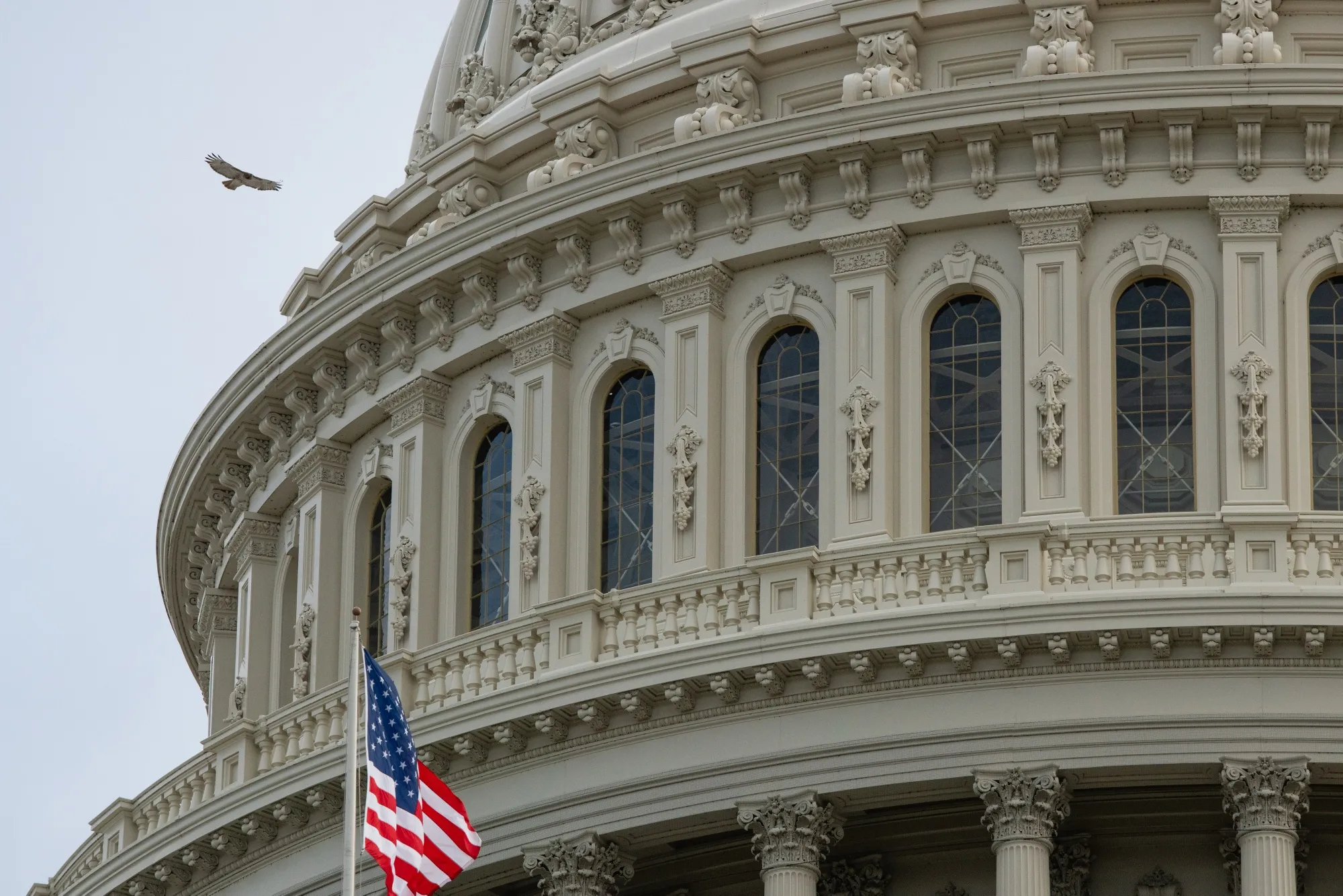 The U.S. Capitol in Washington, D.C..