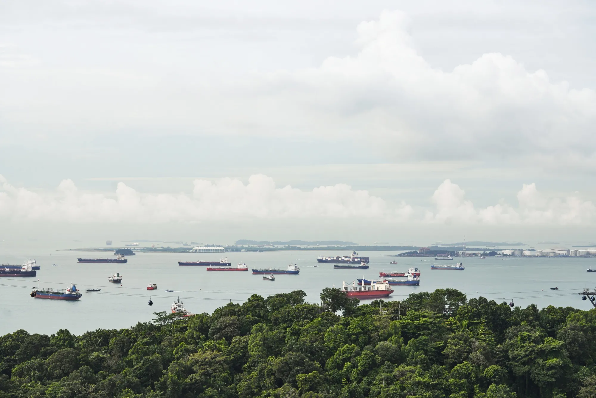 Container ships and bulk carriers offshore from Singapore, on, Nov. 23, 2020.