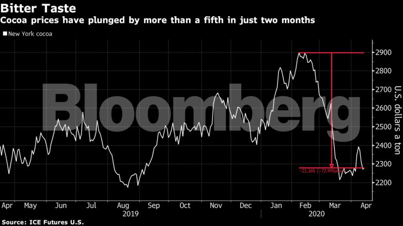 Cocoa prices have plunged by more than a fifth in just two months