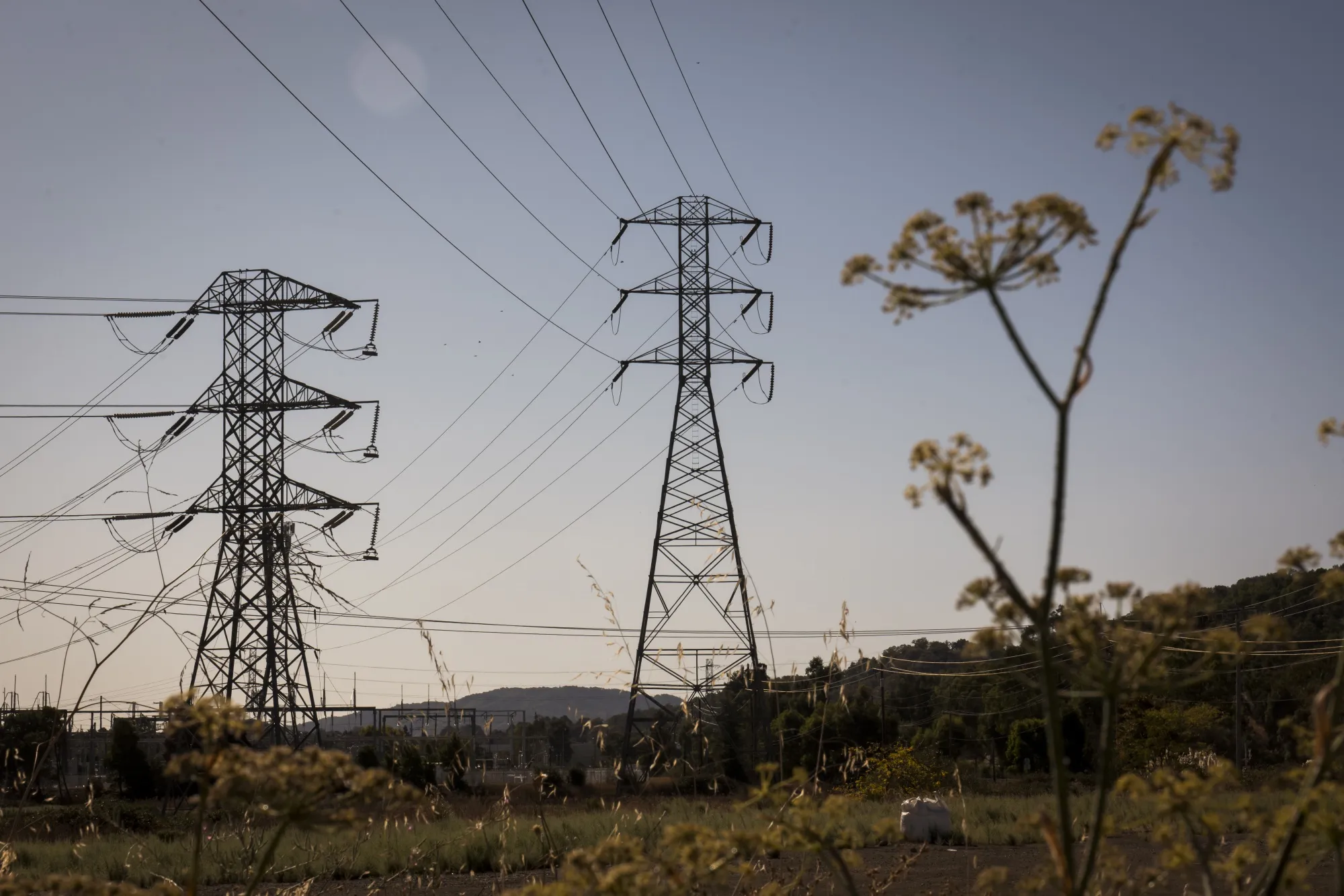 Electrical power polls stand outside of Novato, California.