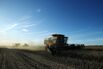 Canada's Canola Inventory Rises to Record as China Shuns Imports