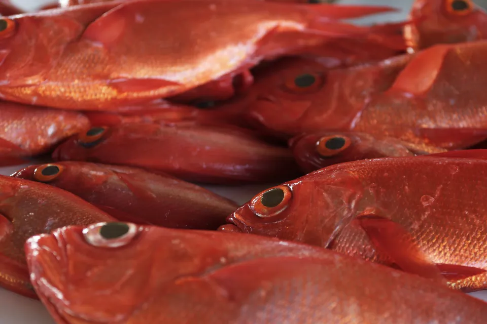 There’s nothing fishy about Amarin’s fish-oil heart&nbsp;drug.