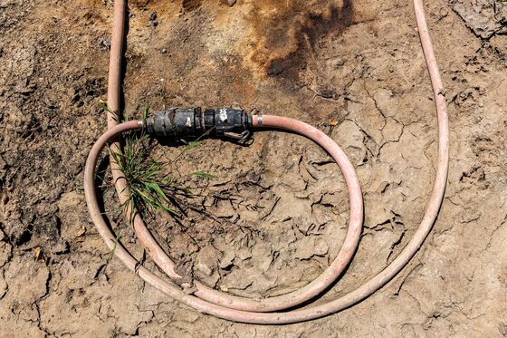 California’s Drought Is So Bad That Almond Farmers Are Ripping Out Trees