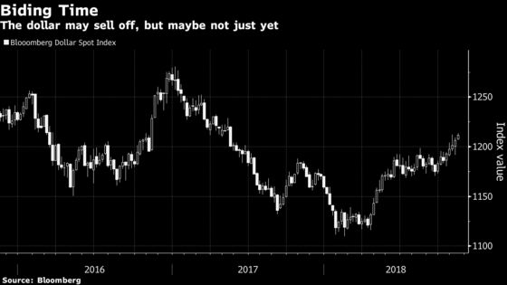 Even Dollar Bears Wary of Betting Against Greenback Just Yet