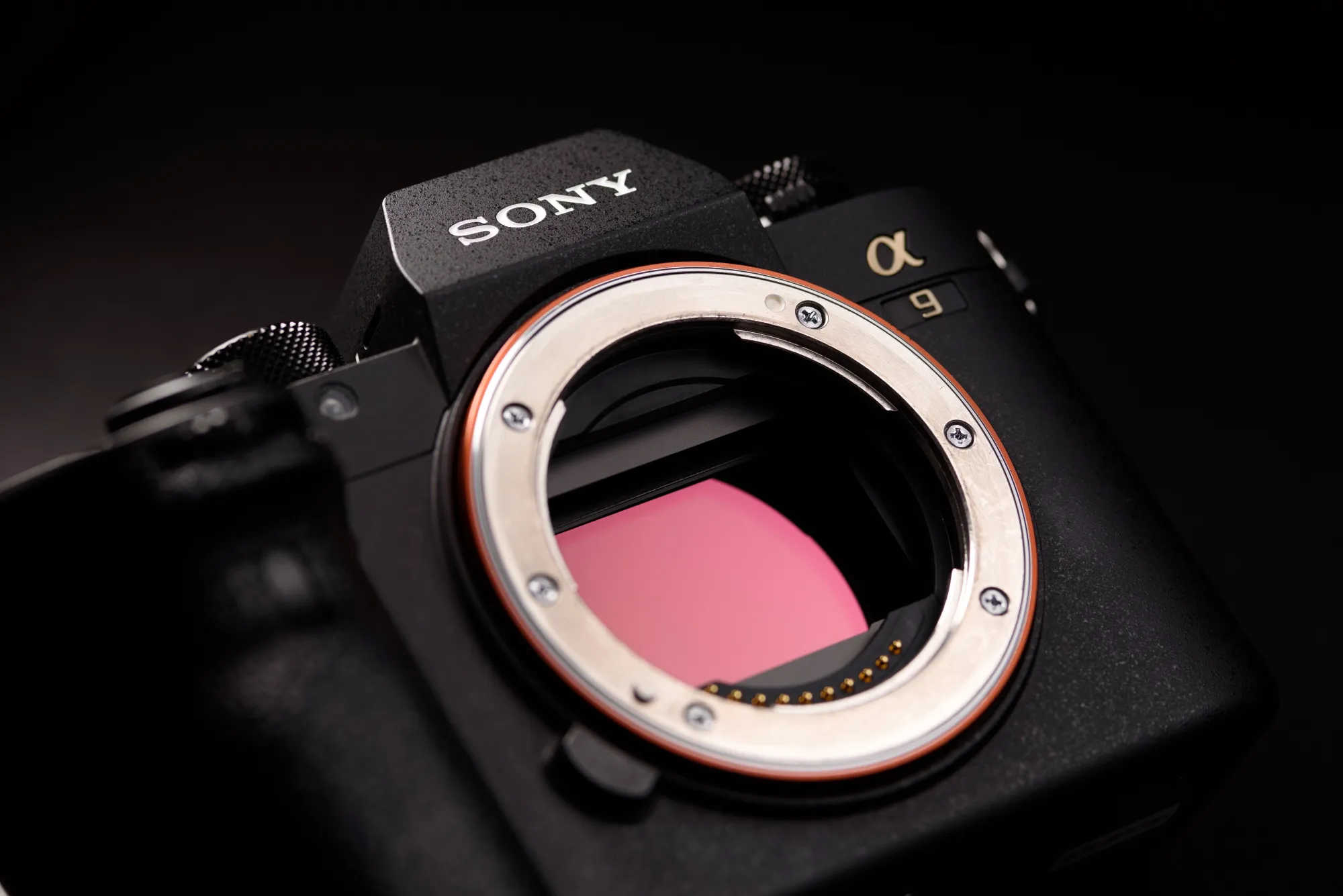 Sony's Super-Fast Mirrorless Cameras are Winning Over the Pros