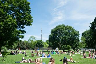PURSUITS_WEB_2NM-Toronto_lede