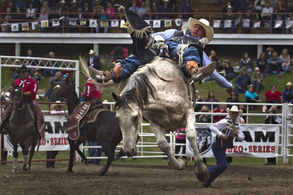 A Weekend Rodeo Commemorates World War I - Bloomberg