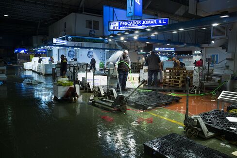Mercamadrid Fish Market