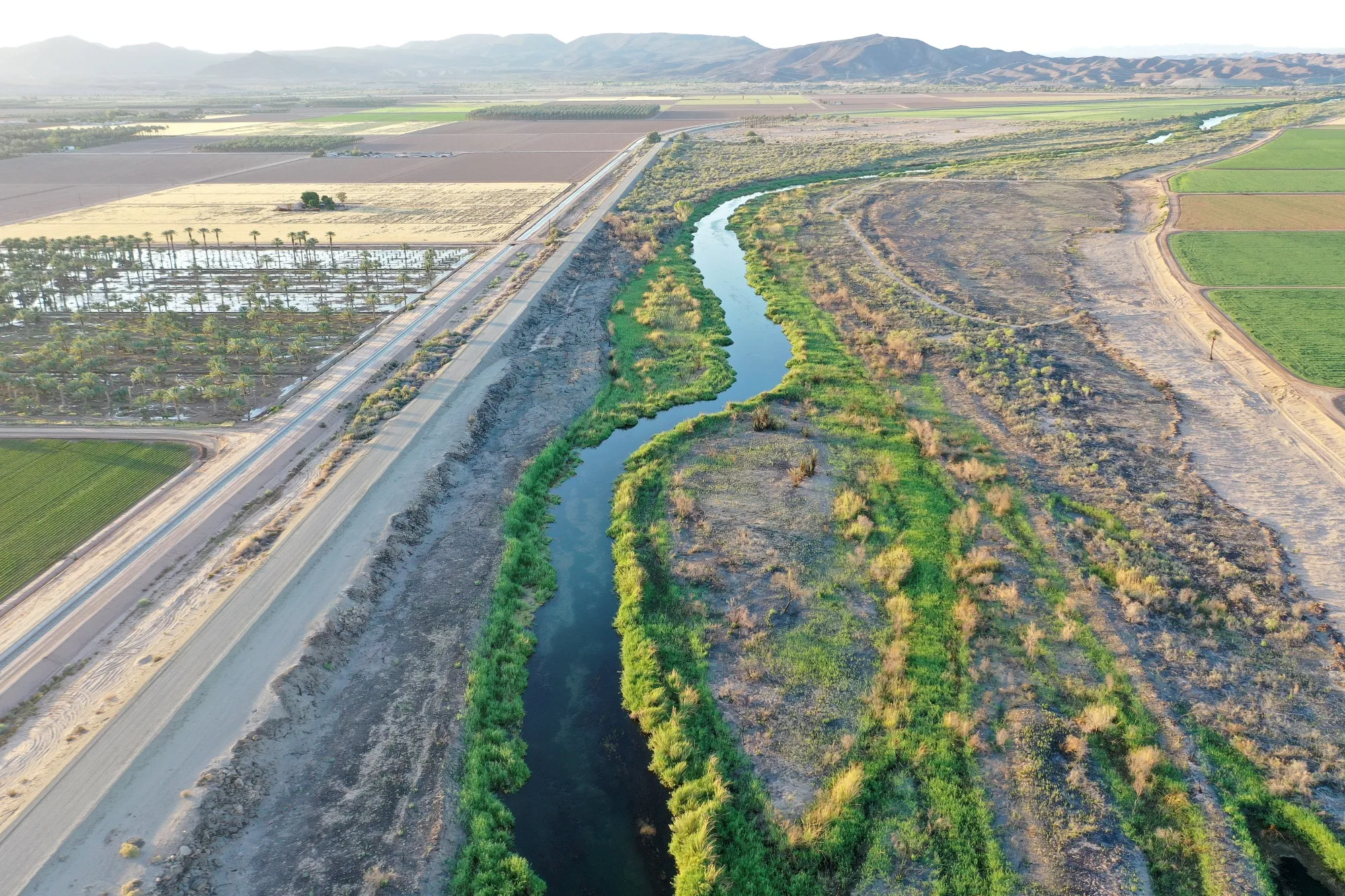 Agriculture, not data centers, is the main culprit in draining the Colorado River basin.