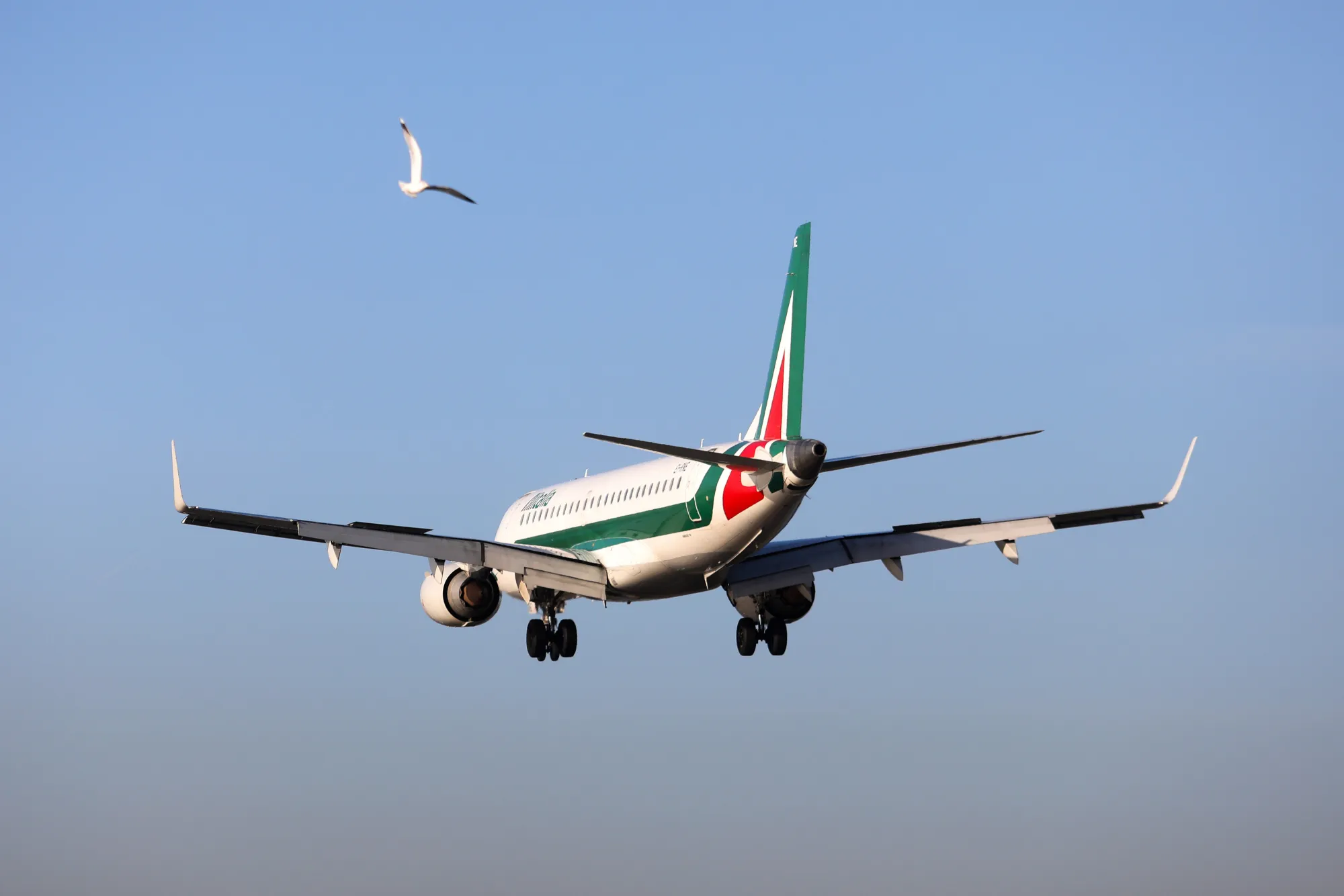 Alitalia SpA Airline As Shareholders Approved Etihad Airways PJSC Investment of Up to $231m
