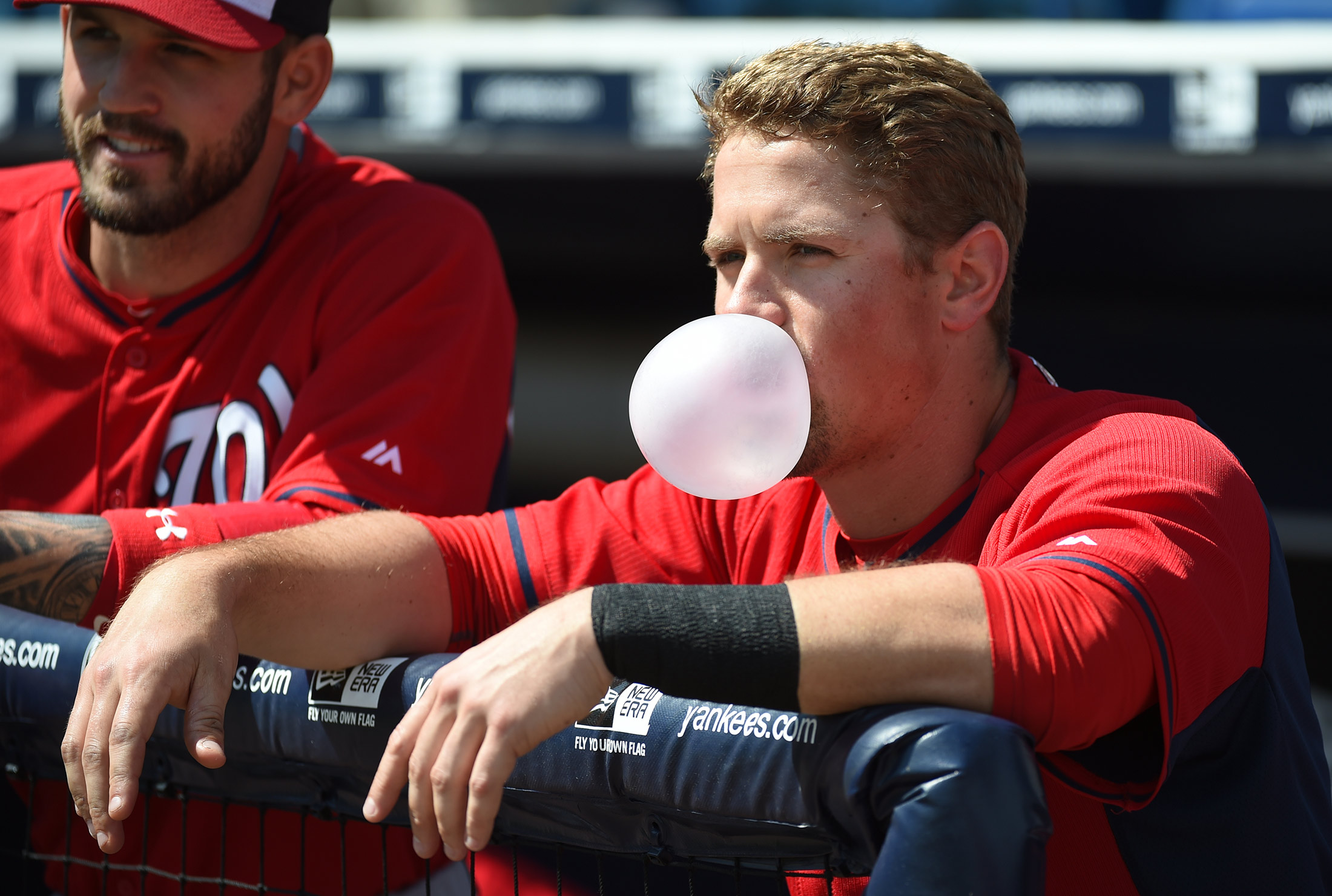 Gallery: Checking In With the Many, Many Beards of MLB - Sports