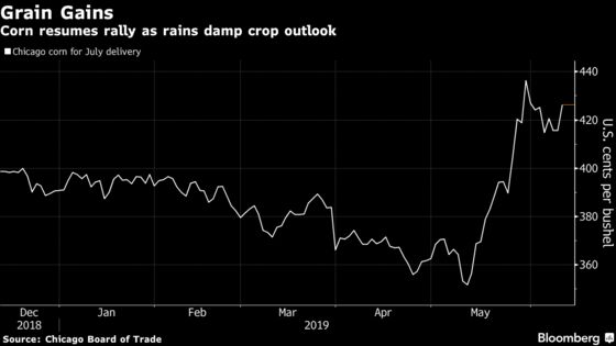 Corn, Wheat Spike After U.S. Cuts Forecasts on Midwest Flooding