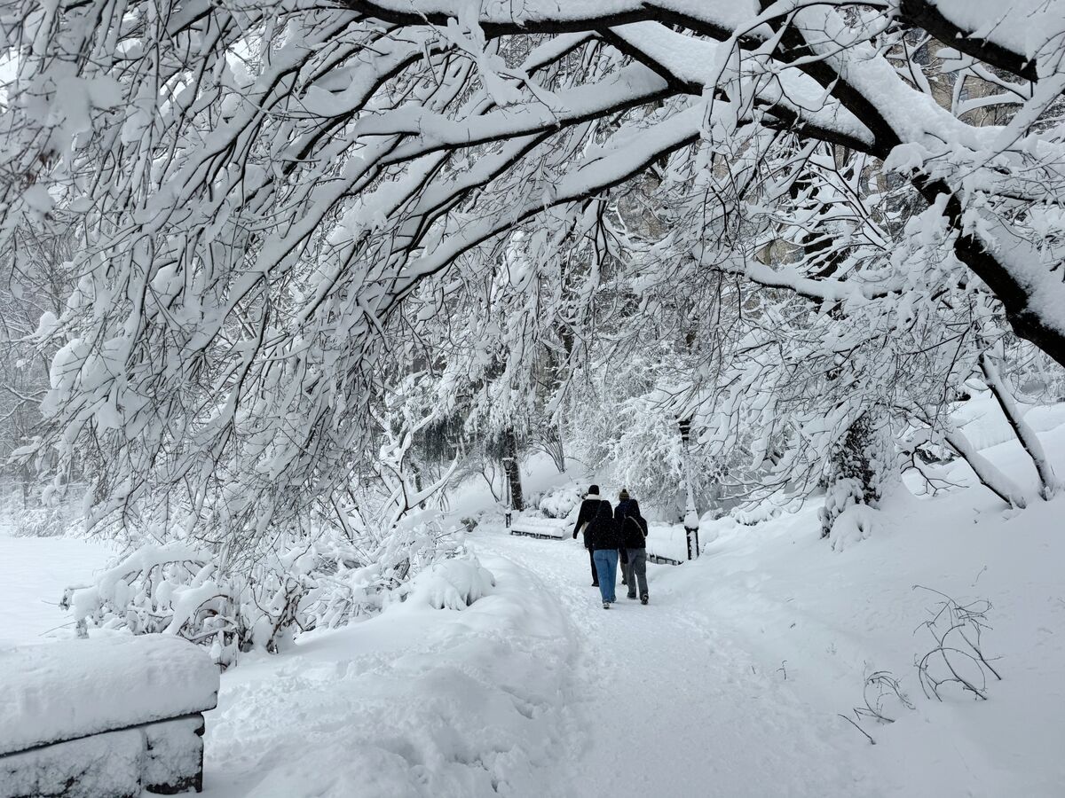 bloomberg.com - Matt Levine - Weather Prediction Prediction