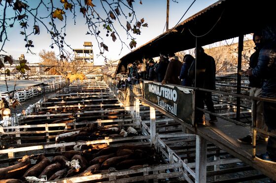 Argentina’s 120-Year-Old Cattle Auction Is Leaving Buenos Aires