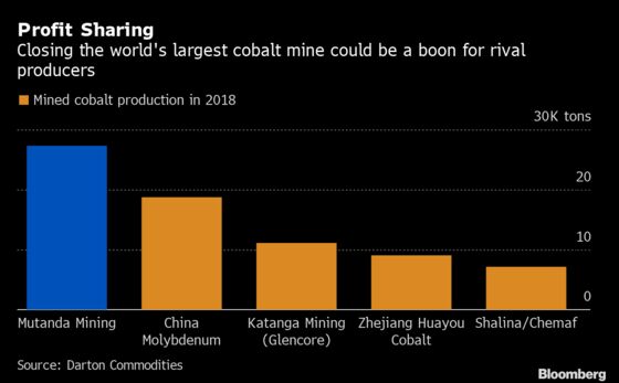 Miners Find Out the Hard Way Why Cobalt Is Called the Goblin