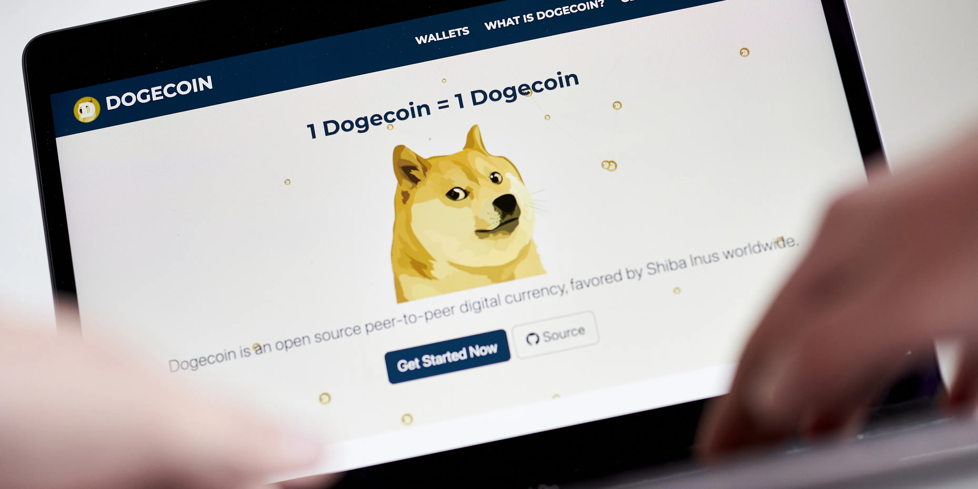 Baby Doge Meme Coin Surges 99% as Bitcoin (BTC), Dogecoin, Shiba Crypto  Slump - Bloomberg