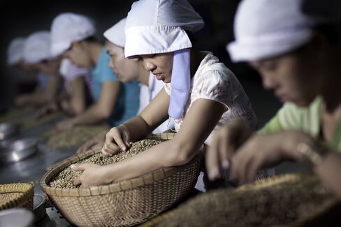 Coffee Farmers in Vietnam Curbing Sales as Drought Hurts Crop