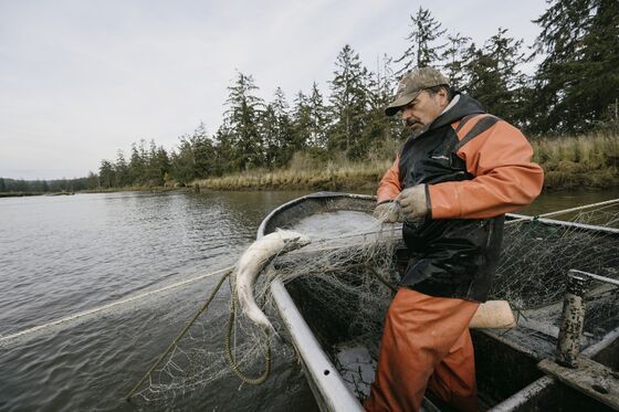 The Rising Pacific Forces a Native Village to Move. Who Will Pay?