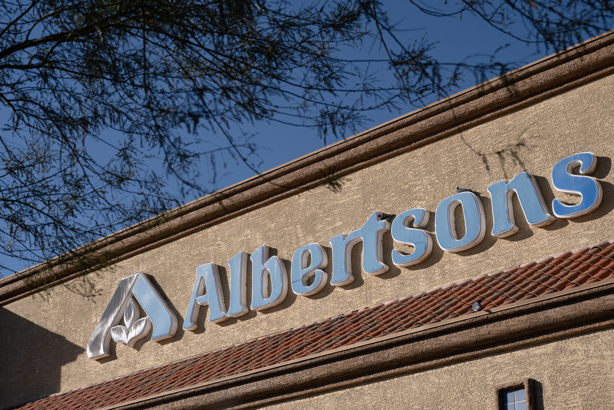 Albertsons (ACI) Profit Tops Estimates as Grocers Rack Up Sales Gains ...