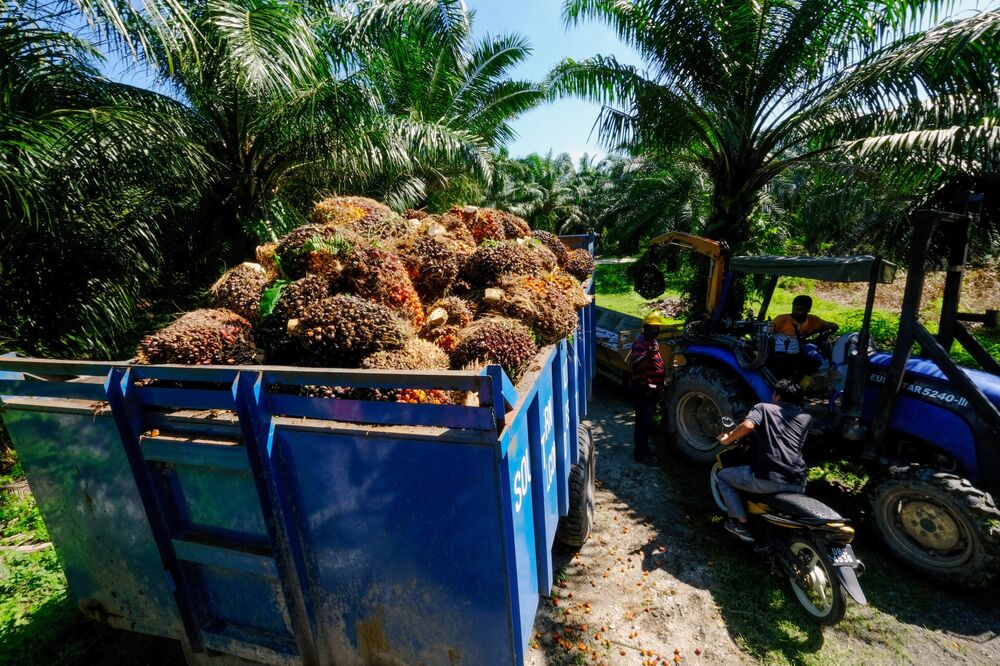 Putrajaya Announces Four Phase Covid 19 Recovery Plan For Malaysia Expects Return To Normalcy By End Of Year