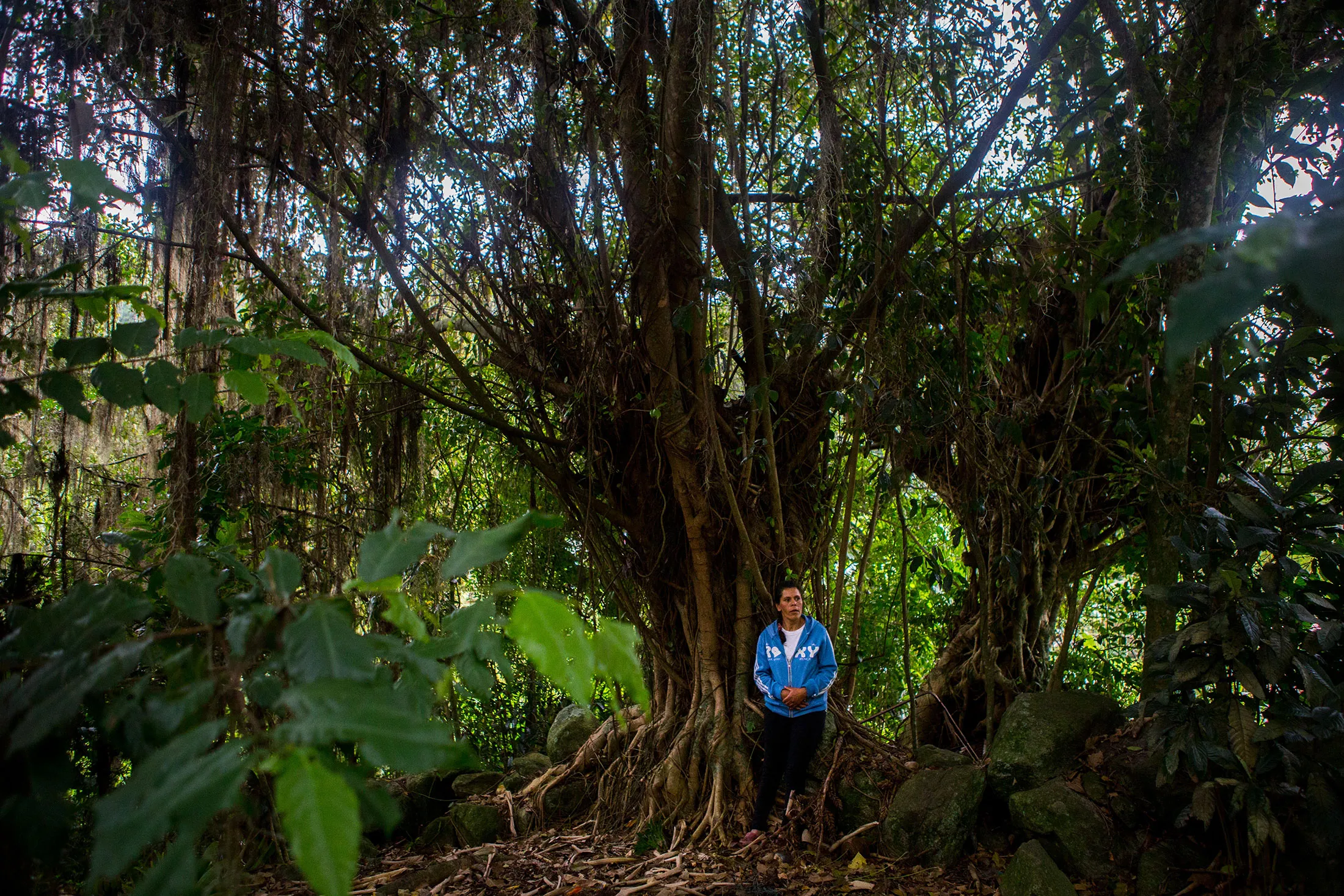 Maria Leida Sanchez stands&nbsp;under the tree where her son died. The farmhand tended fields of cabbage and carrots. He broke his leg in a fall and grew despondent that he could no longer provide.