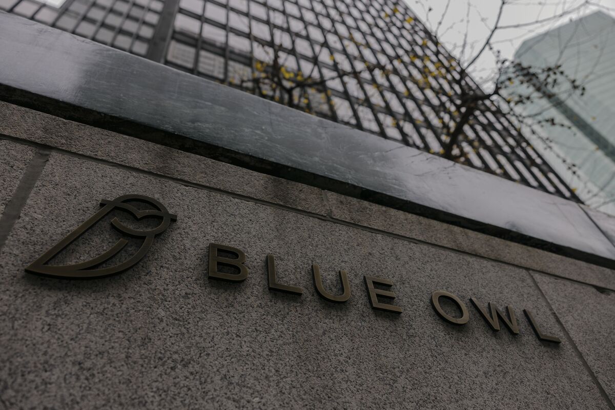 
                            CD&R, TPG Look to Blue Owl to Finance $2.5 Billion Covetrus Debt