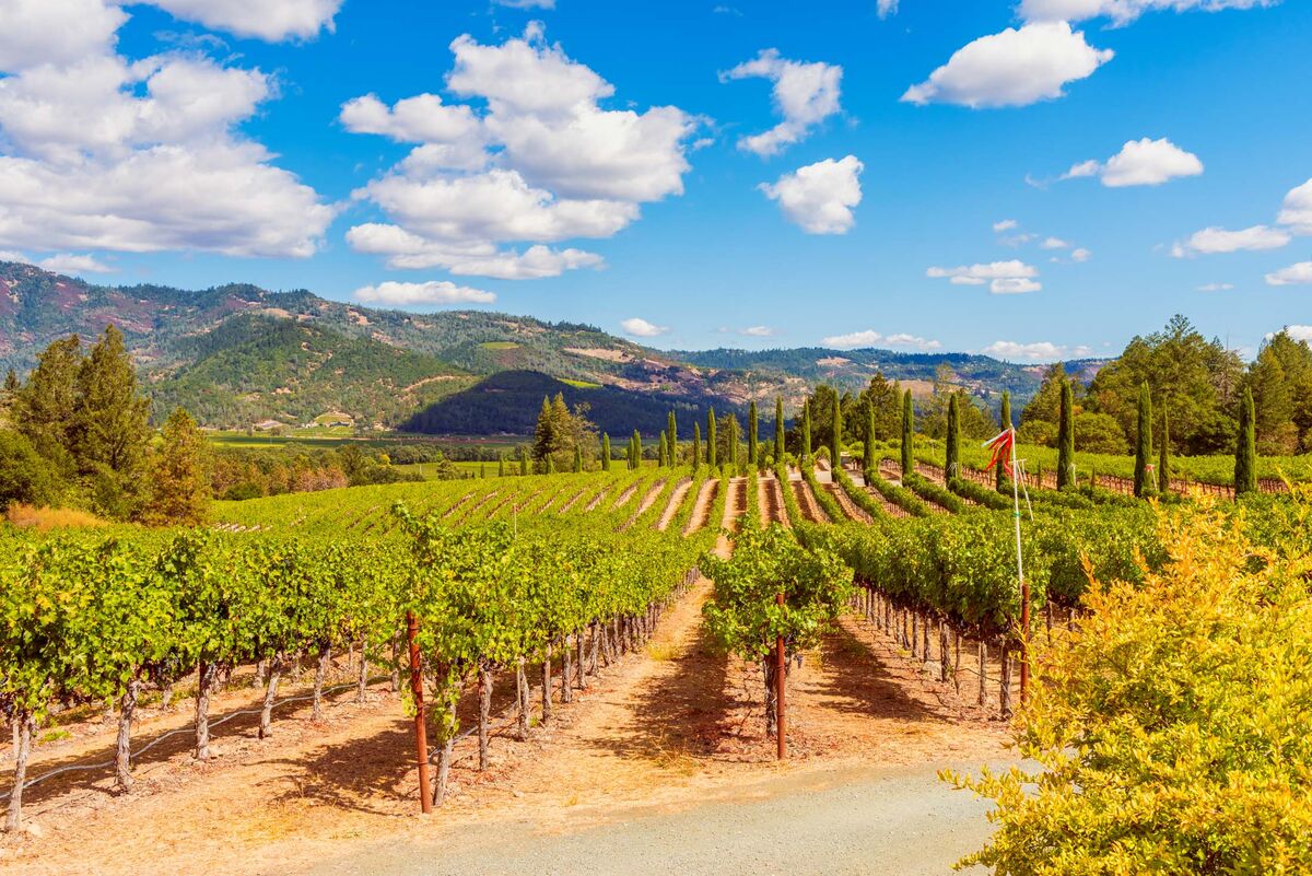 Napa Valley, Sonoma Take On Outdoorsy Luxury With New Hotels & Restaurants  - Bloomberg