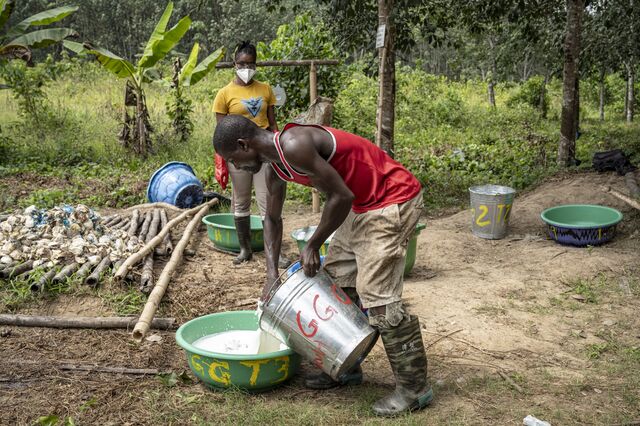 A worker pours the latex collected from the buckets into a bowl at a weighing station on the Salala plantation.