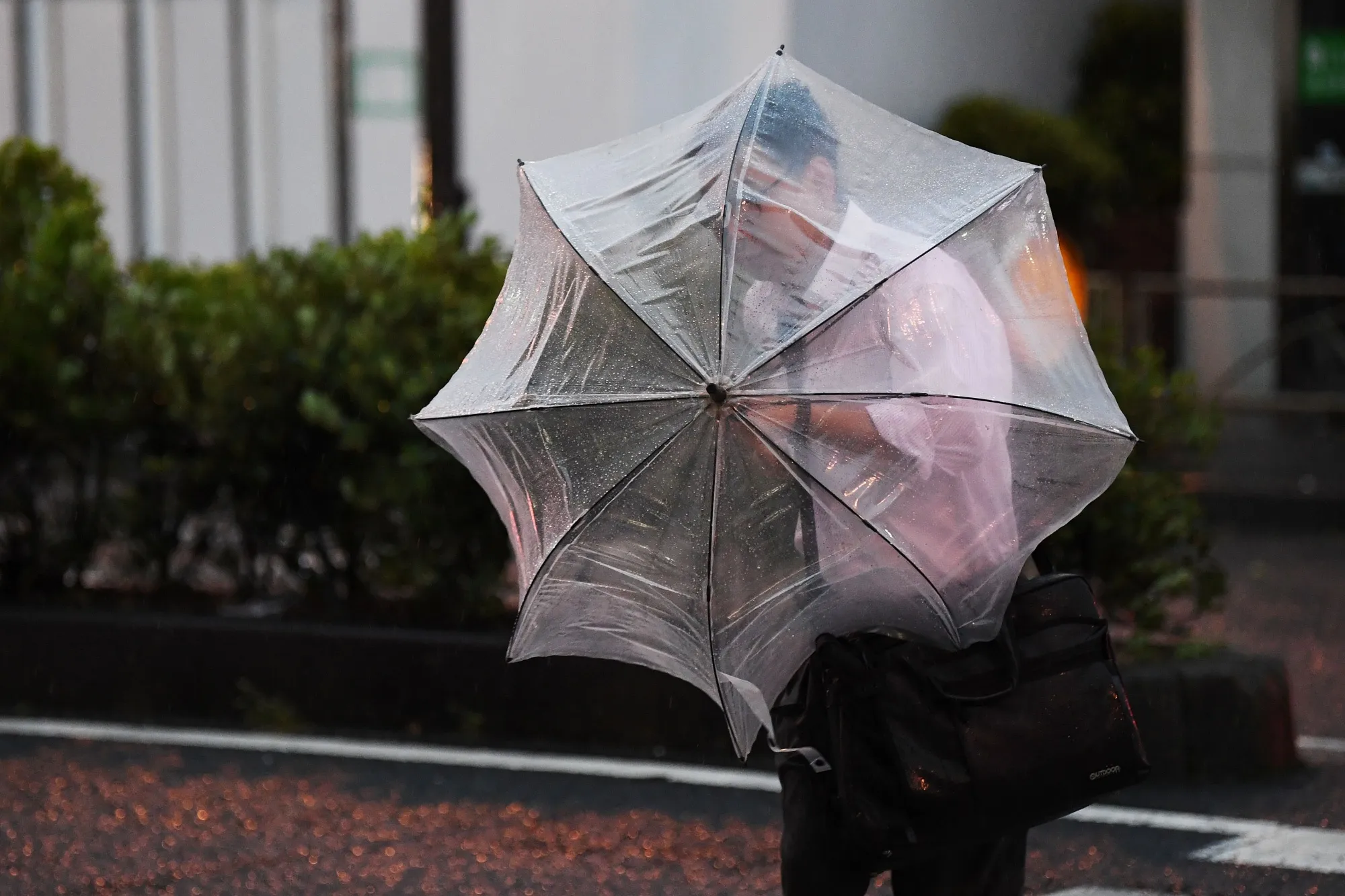 Take shelter where you can find it.