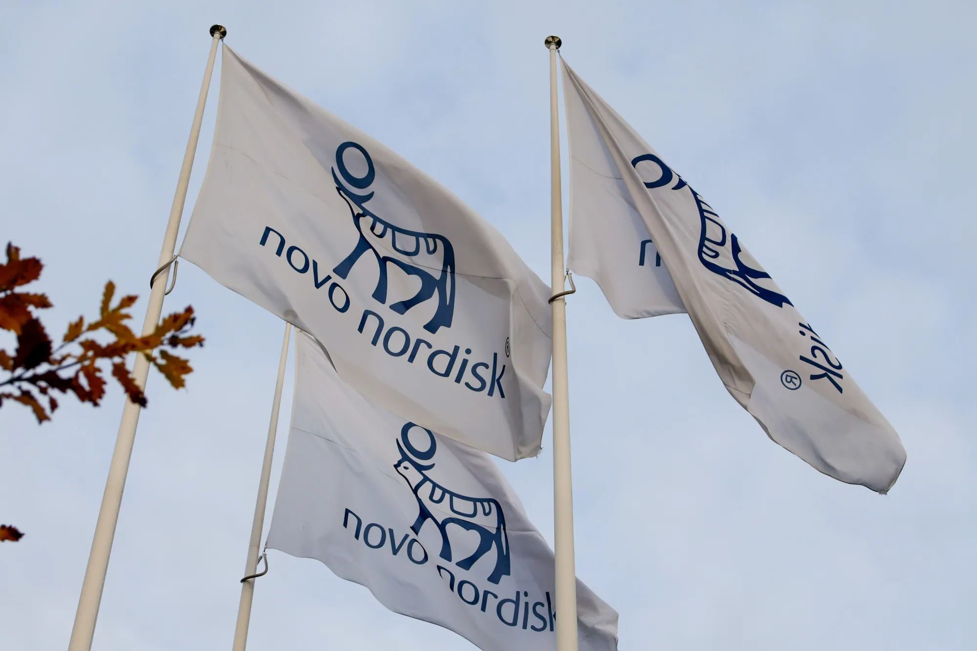 Flags outside the Novo Nordisk A/S headquarters in Bagsvaerd, Denmark.