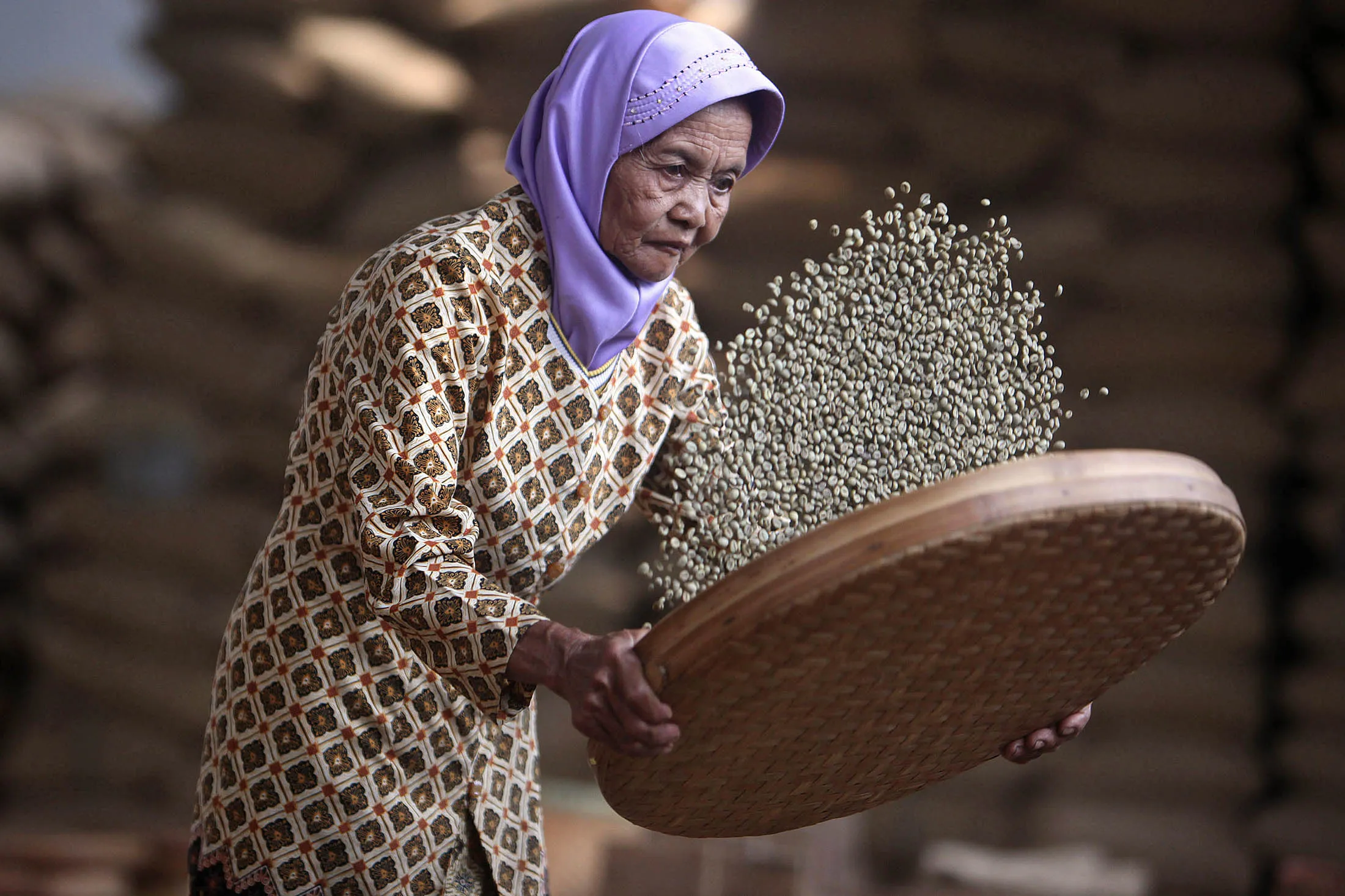 A worker selects dried robusta coffee beans at a plantation in Central Java, Indonesia. Coffee production in Indonesia will probably drop 20 percent next year from a record as the strongest El Nino in almost two decades hurts crops in the world’s third-largest producer of robusta beans.
