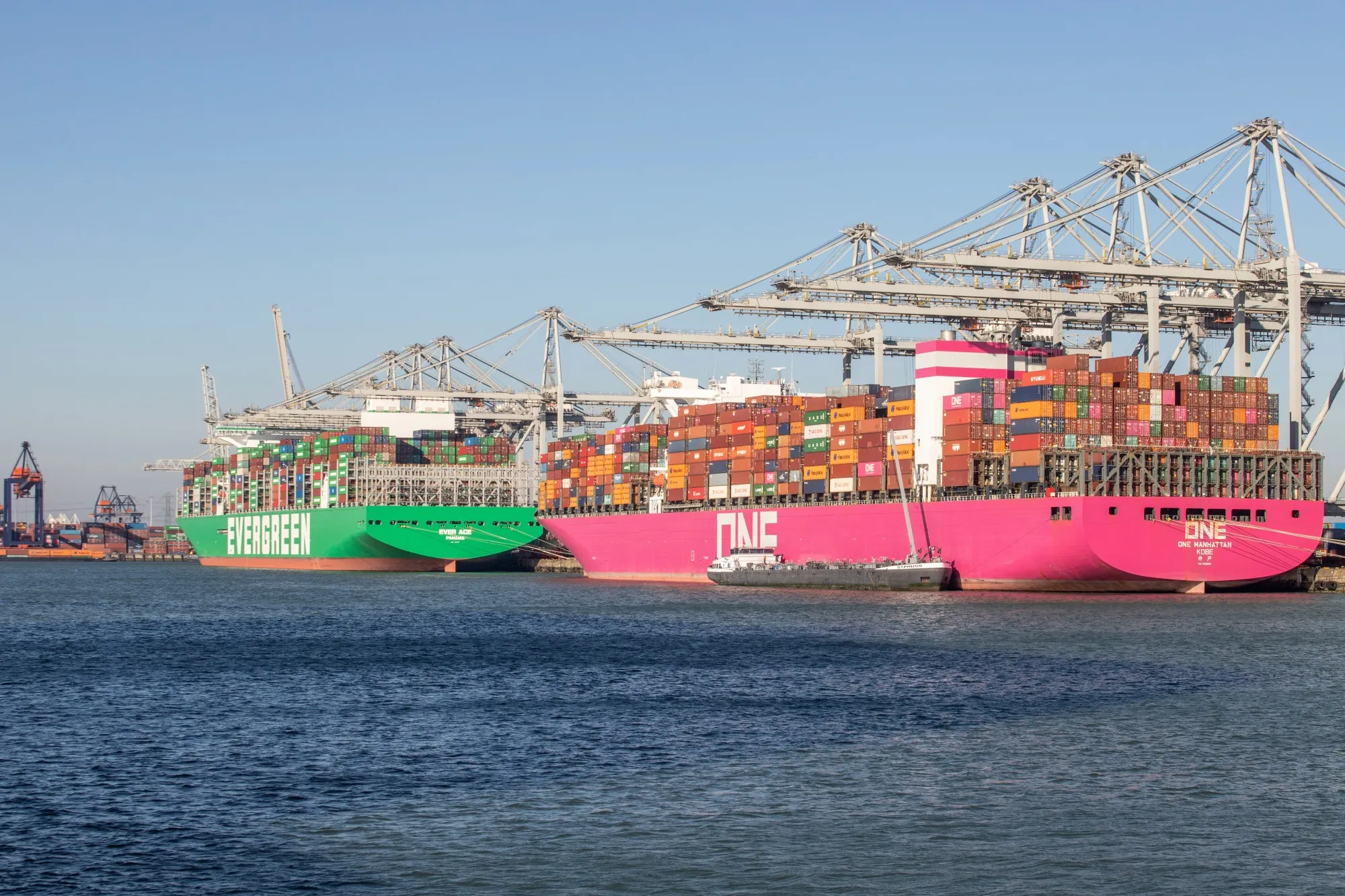 Container ships docked at the Delta Terminal, operated by Europe Container Terminals BV, in the Port of Rotterdam in Rotterdam&nbsp;on March 8.