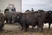 Moneyball For U.S. Cattle Is Creating A Glut Of High-End Steaks