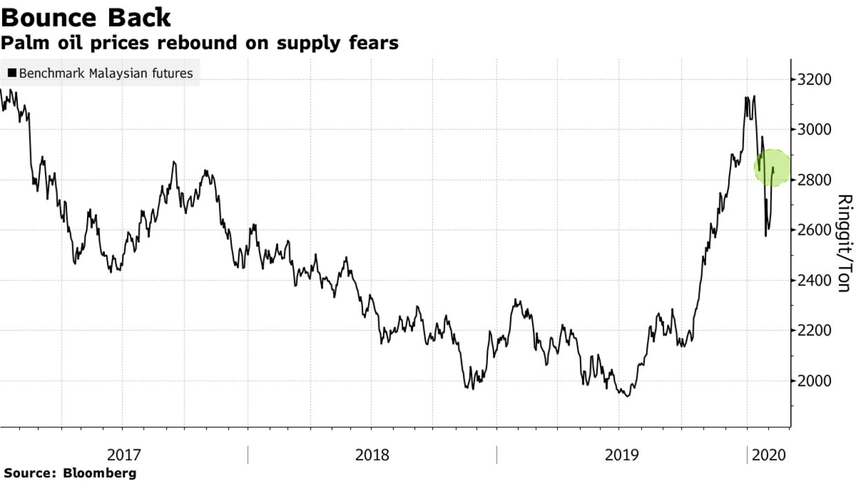 Palm oil prices rebound on supply fears