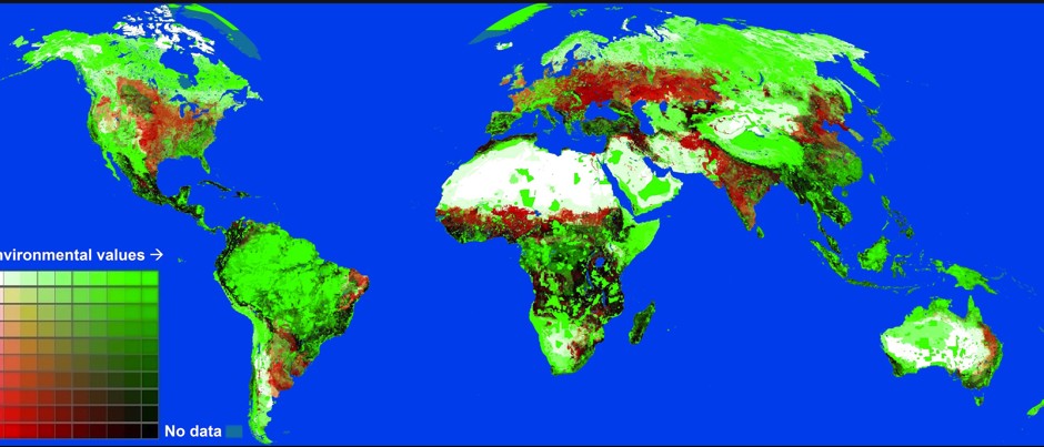 The black regions show where the value of roads is as high as the value of conserving the natural biodiversity. 
