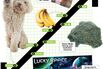 Bid & Ask: The Deals of the Week