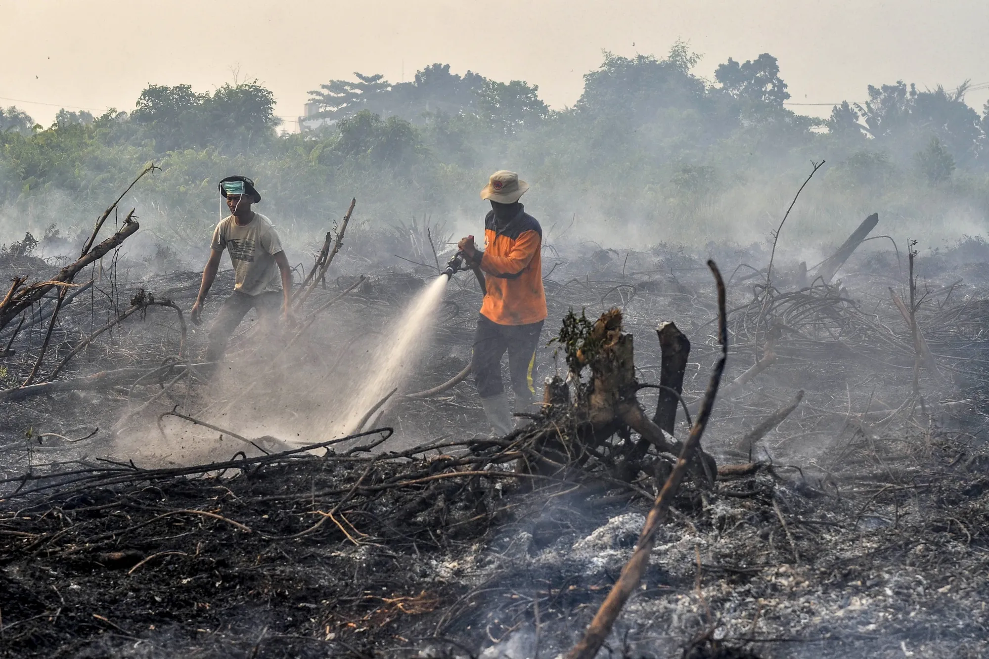 Firefighters battling a fire at a palm oil plantation in Pekanbaru, Riau on Sept. 7.