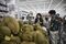 Opening Of A Walmart Stores Inc. Sam's Club Store In China