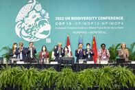 relates to COP15 Adopts Biodiversity Plan to Protect 30% of Land and Water by 2030