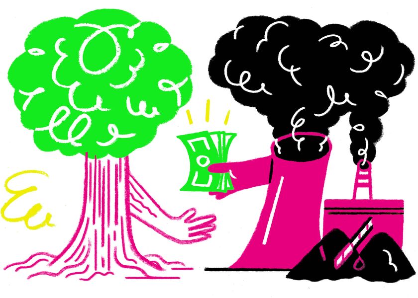COP_TRADINGTREES_01-HP