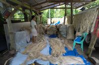 relates to Masks Made From Banana-Tree Species Cut Covid’s Plastic Waste